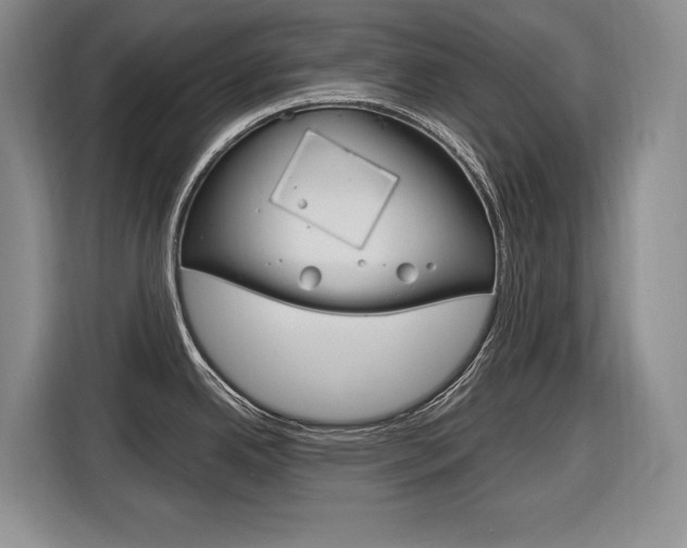 X0000116891342200912220957