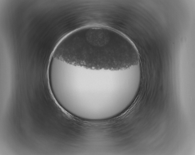 X0000116891343200912220957