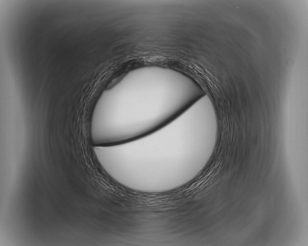 X0000116891345200912220956
