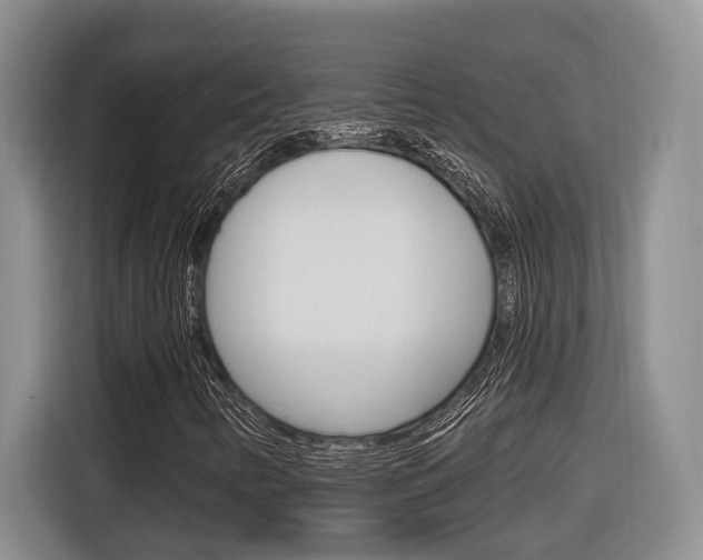 X0000116891346200912220956