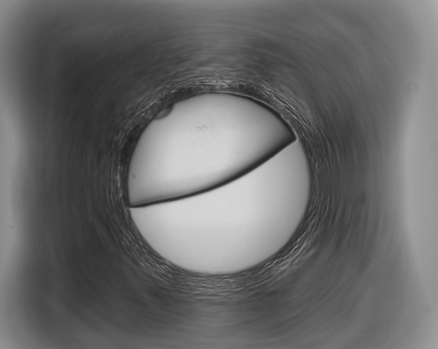X0000116891347200912220956