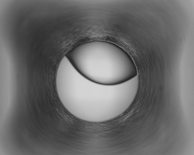 X0000116891348200912220956