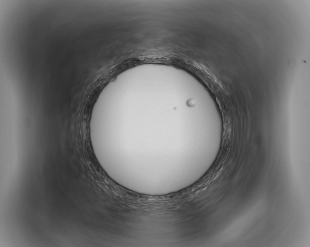 X0000116891350200912220956
