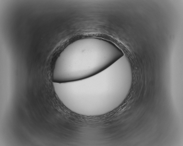 X0000116891351200912220956