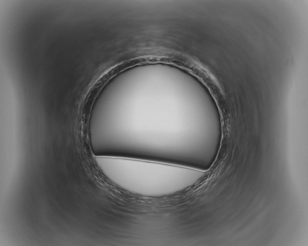 X0000116891352200912220956