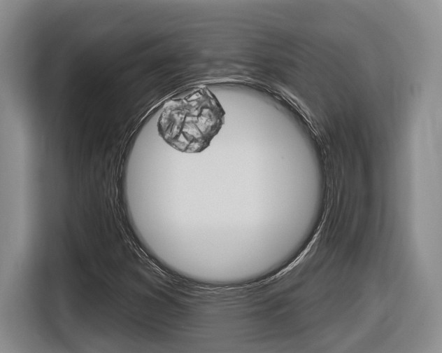 X0000116891353200912220956