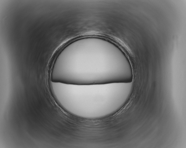 X0000116891356200912220956