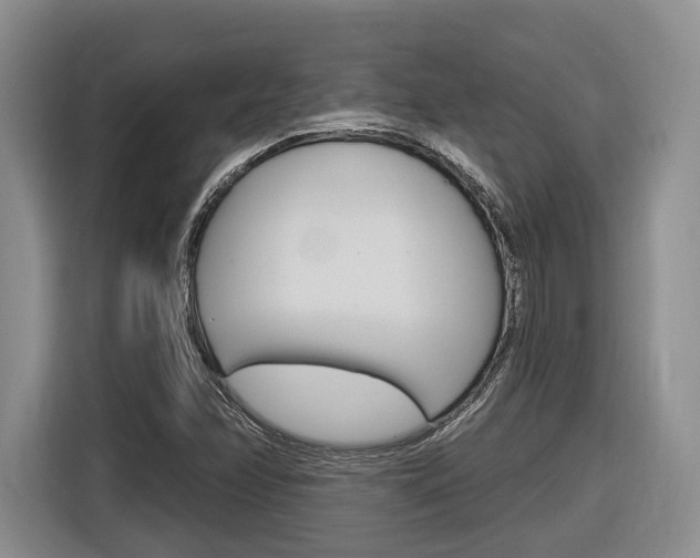 X0000116891358200912220956