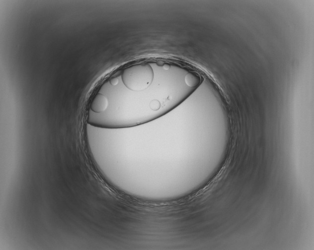 X0000116891359200912220956