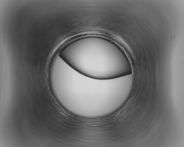 X0000116891360200912220956