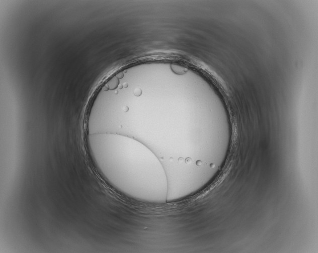 X0000116891362200912220956