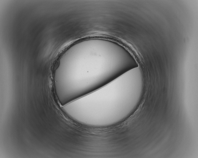 X0000116891363200912220956