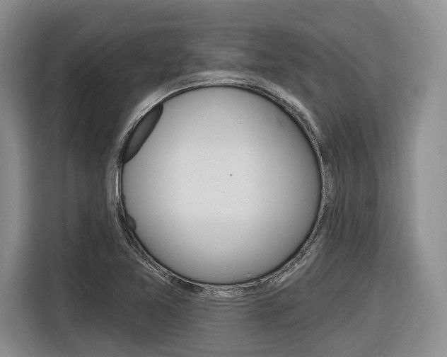 X0000116891365200912220956
