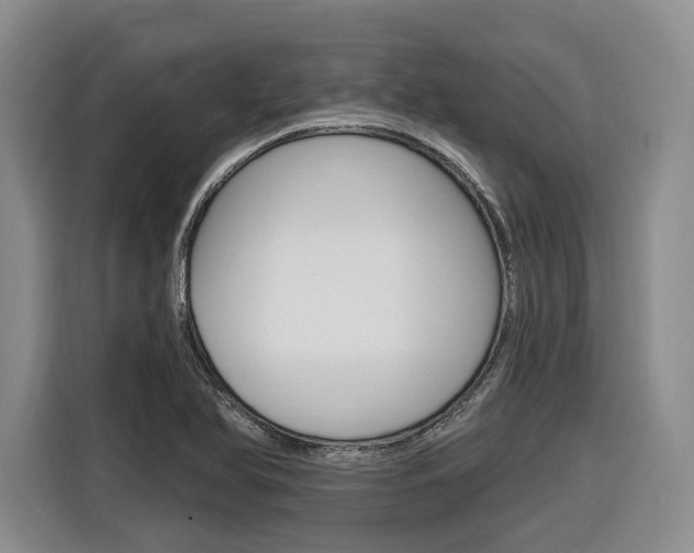 X0000116891366200912220956