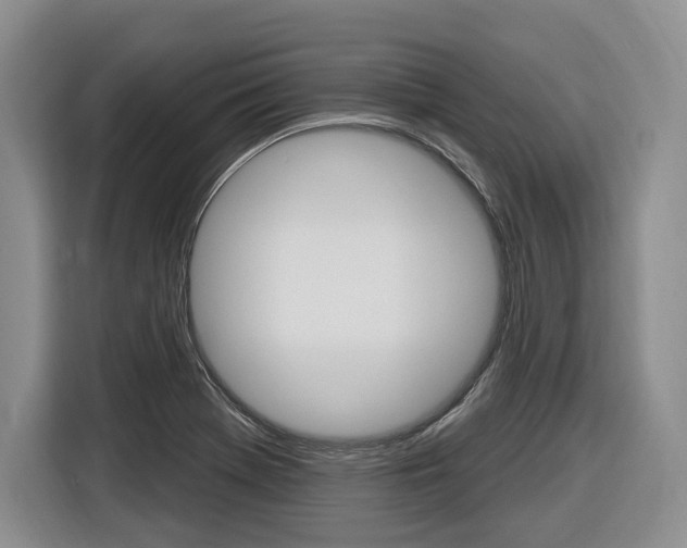 X0000116891369200912220956