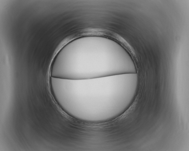 X0000116891370200912220956