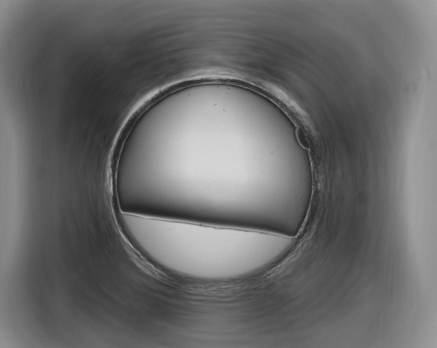 X0000116891372200912220956
