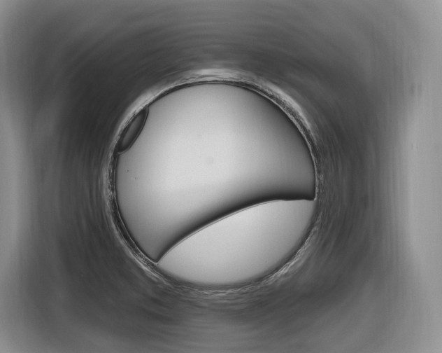 X0000116891373200912220956