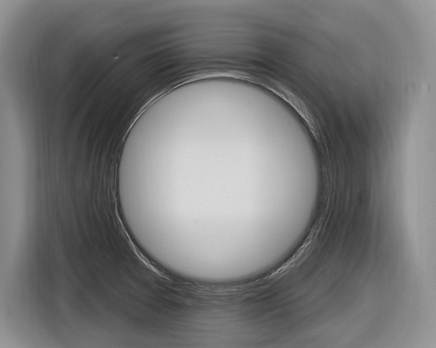 X0000116891377200912220956