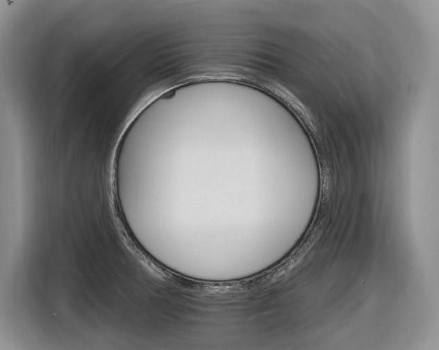X0000116891378200912220956