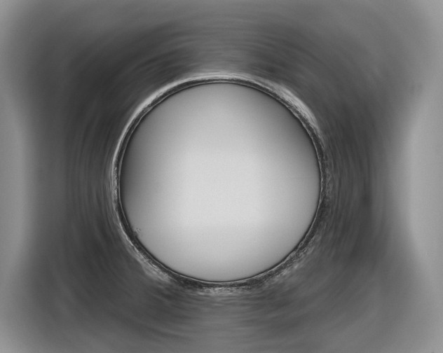 X0000116891380200912220956