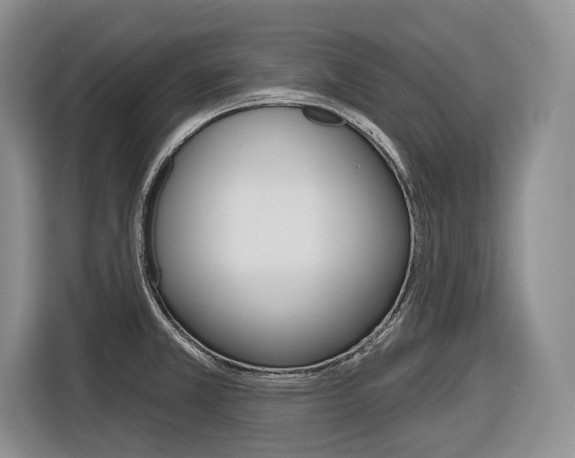 X0000116891381200912220956