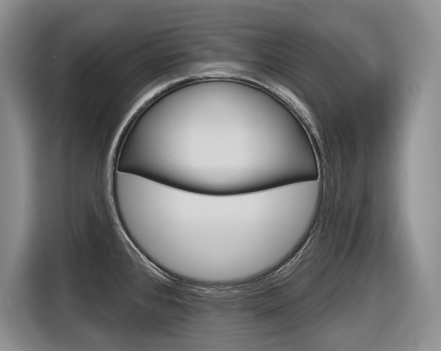 X0000116891384200912220956