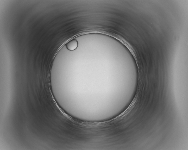 X0000116891385200912220955