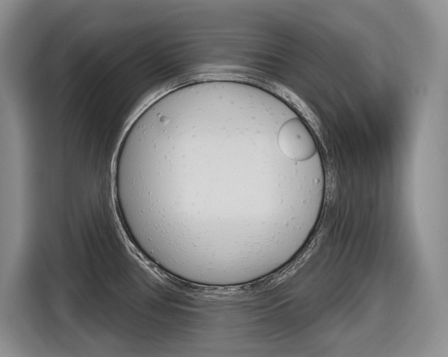 X0000116891386200912220955