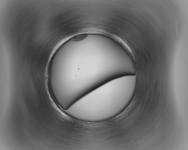 X0000116891387200912220955