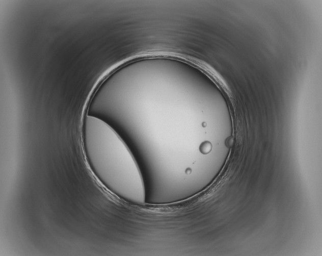 X0000116891388200912220955