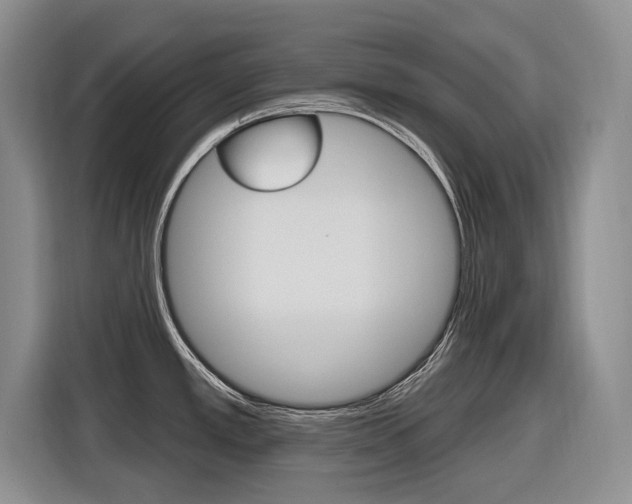 X0000116891389200912220955