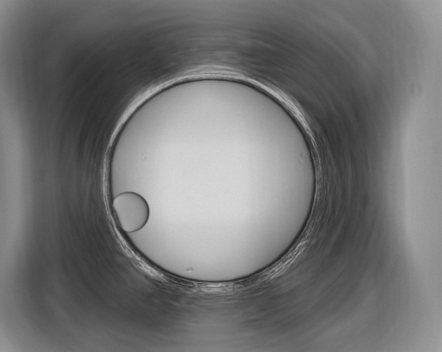 X0000116891390200912220955