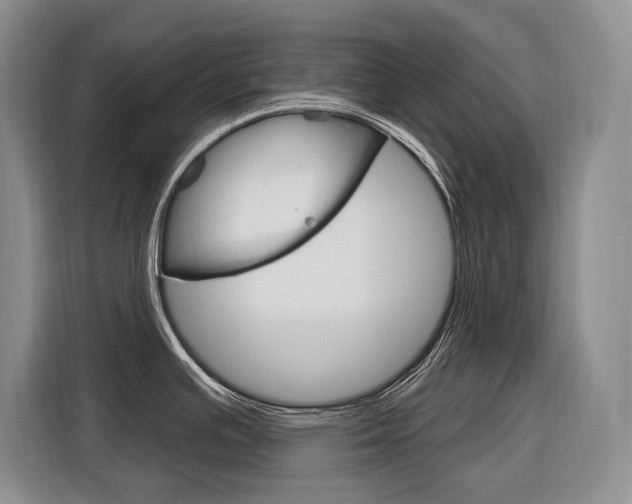 X0000116891391200912220955