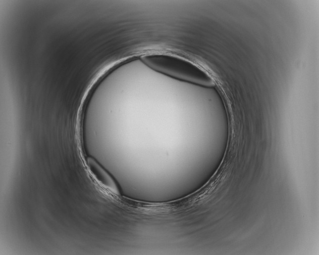 X0000116891392200912220955