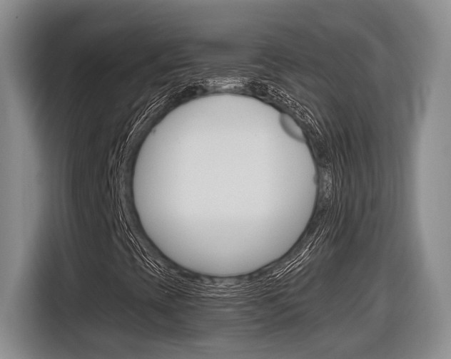 X0000116891393200912220955