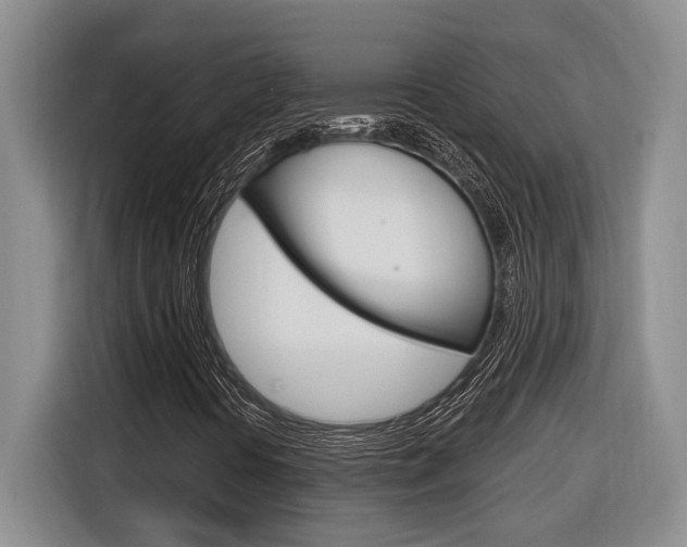 X0000116891394200912220955