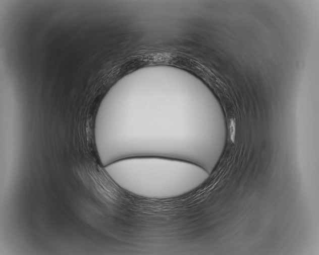 X0000116891395200912220955