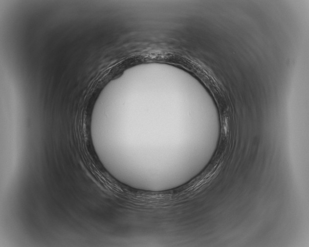 X0000116891396200912220955