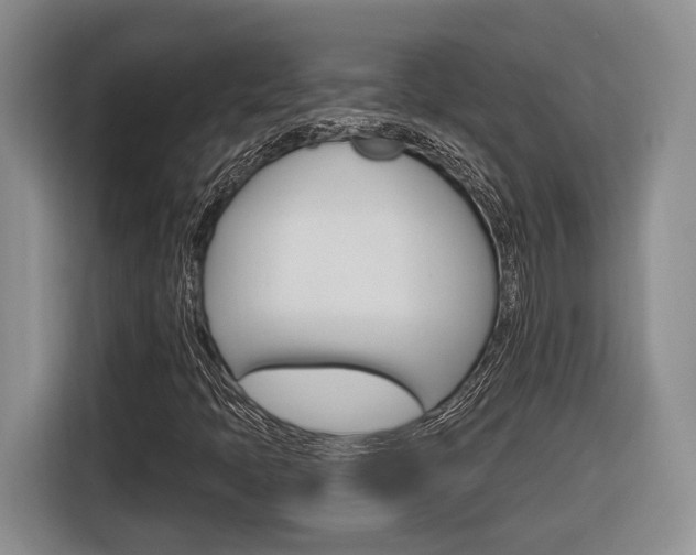 X0000116891397200912220955