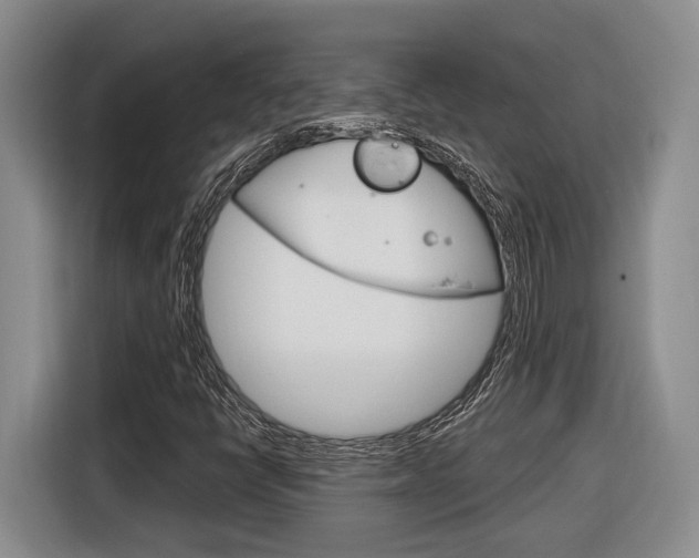X0000116891398200912220955