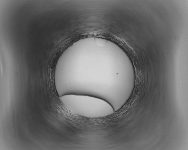 X0000116891399200912220955