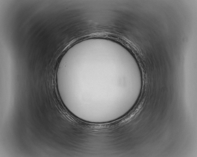 X0000116891401200912220955
