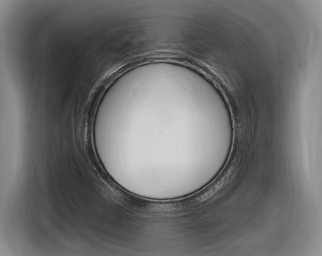 X0000116891402200912220955