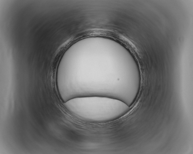 X0000116891403200912220955