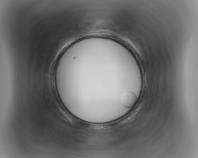X0000116891405200912220955