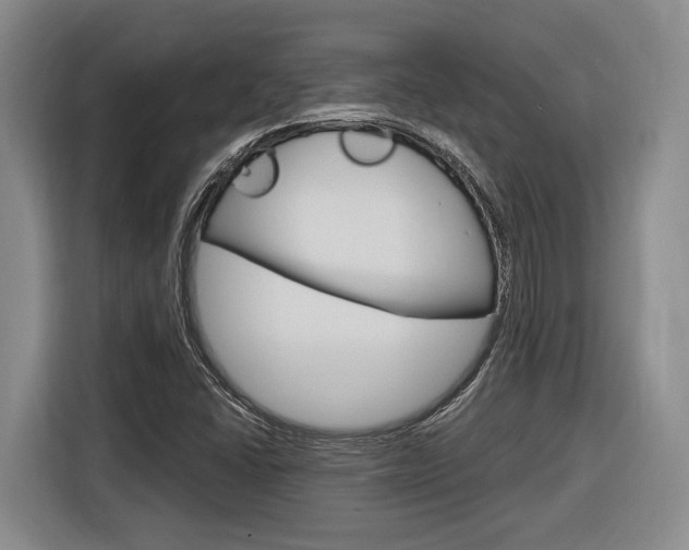 X0000116891406200912220955