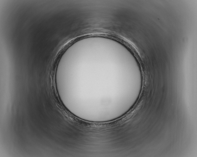 X0000116891407200912220955