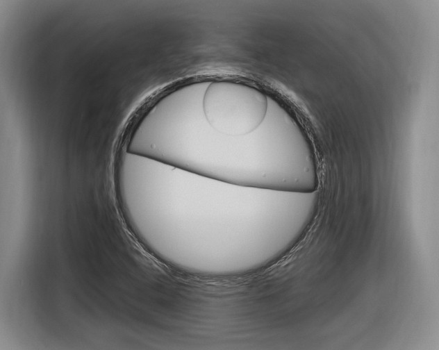 X0000116891408200912220955