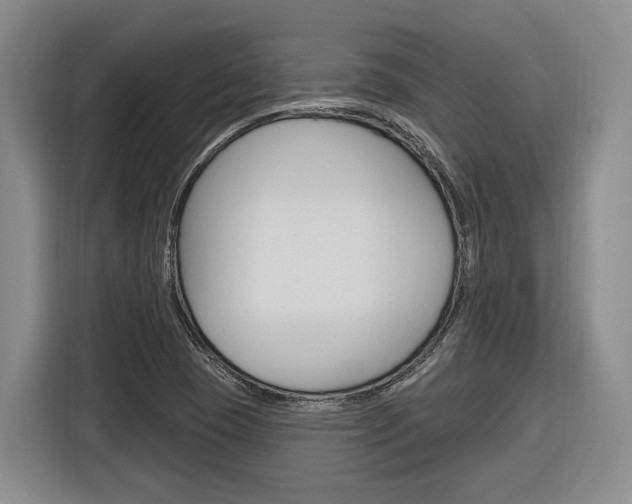 X0000116891409200912220955